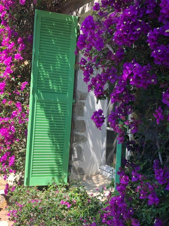 Residence Alouettes Hyères Exteriér fotografie